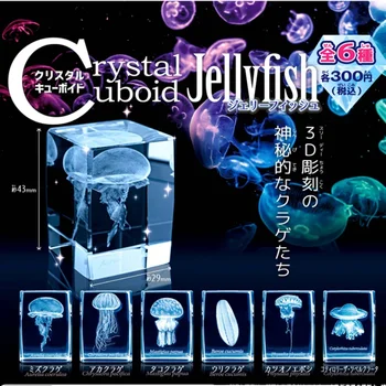 Meduze 3D Original Gashapon Kristalno Kocko Skale Fish Tank Akvarij Slika Srčkan Kapsula Igrače Anime Dekor Darilo